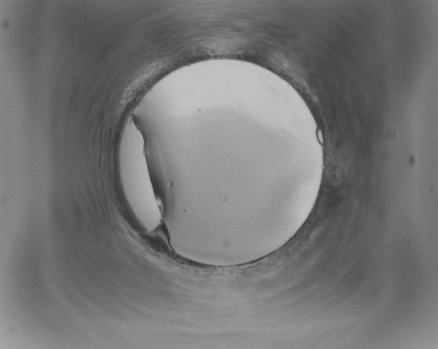 X0000066960019200604211853