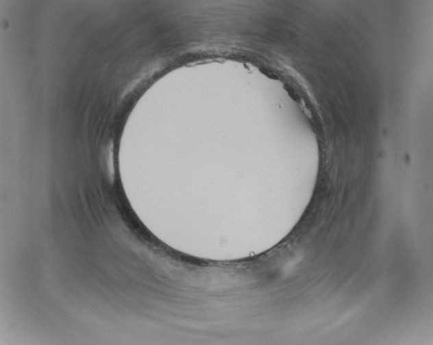 X0000066960020200604211853