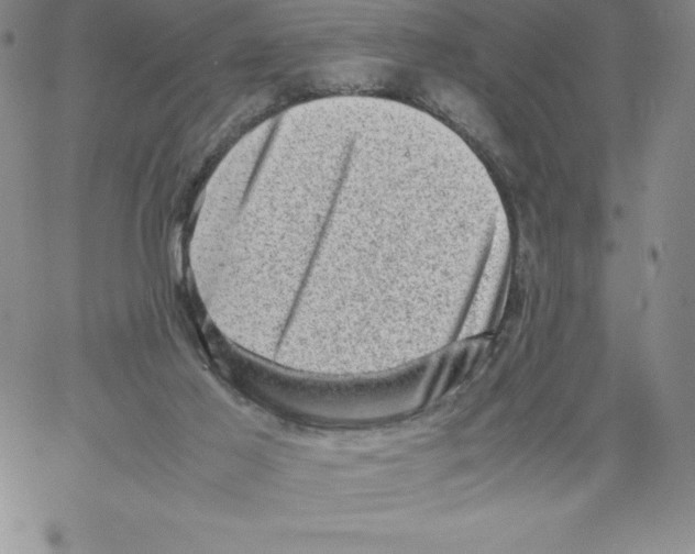 X0000066960021200604211853