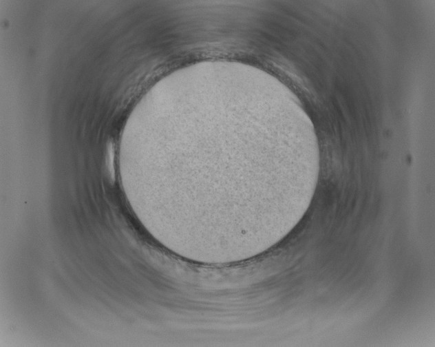 X0000066960022200604211853