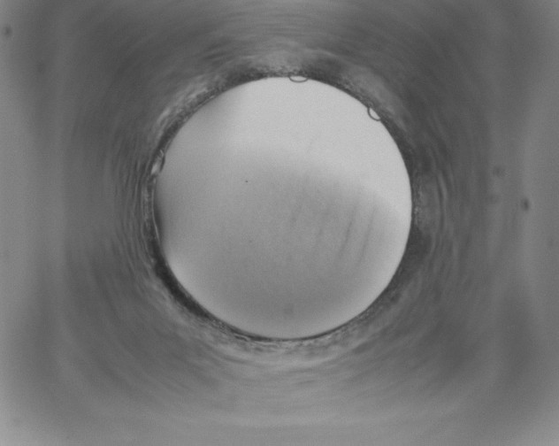 X0000066960023200604211852