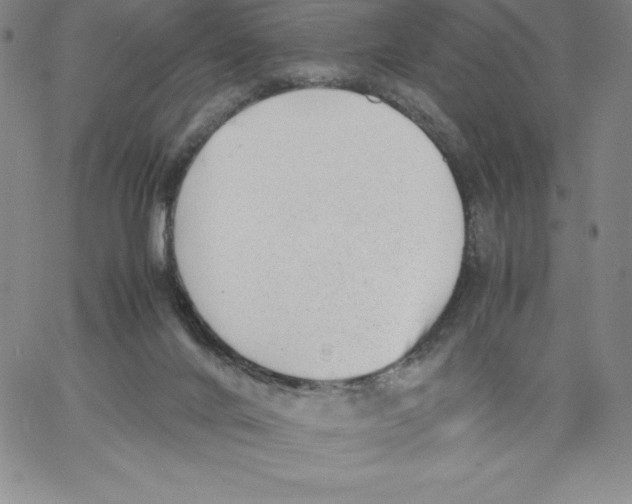 X0000066960024200604211852