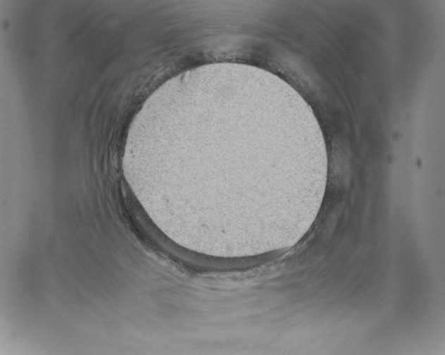 X0000066960025200604211852