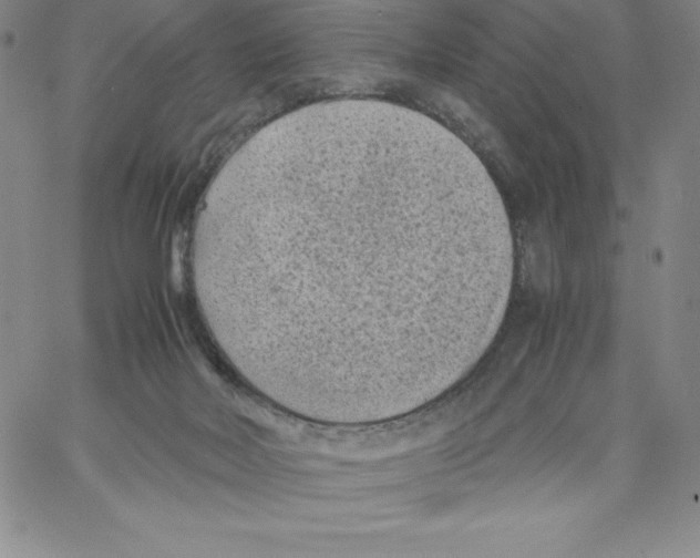 X0000066960026200604211852