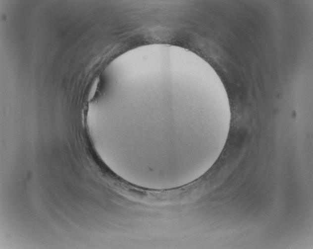 X0000066960027200604211852