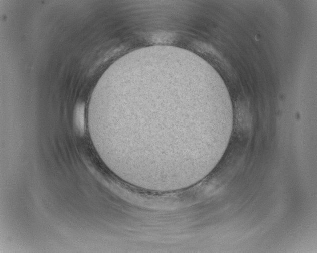 X0000066960028200604211852