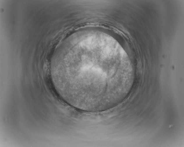 X0000066960029200604211852