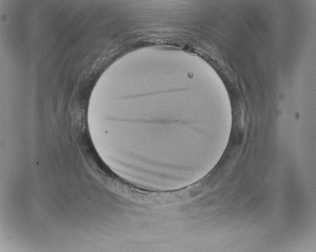 X0000066960031200604211852