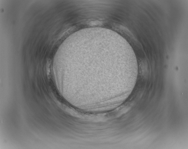 X0000066960032200604211852