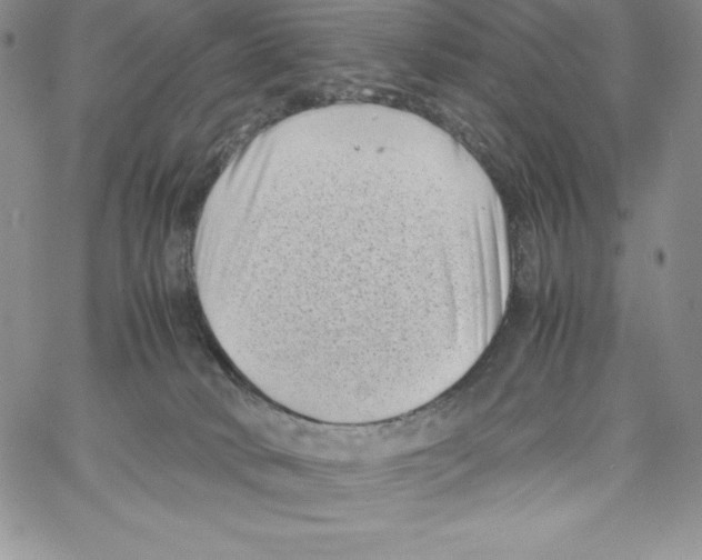 X0000066960034200604211852