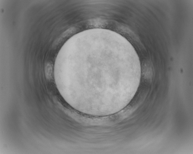 X0000066960036200604211852