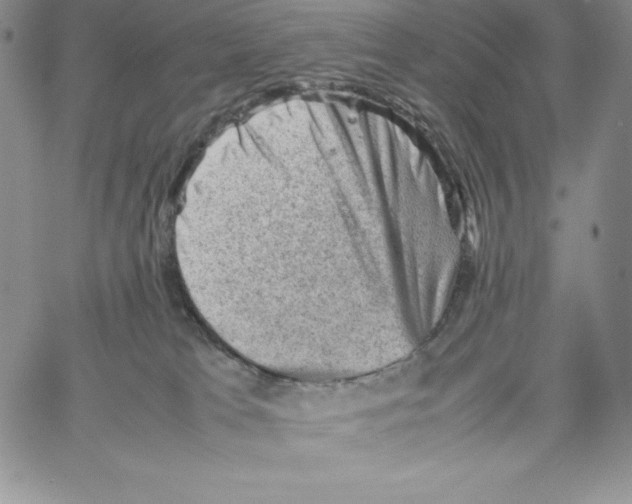 X0000066960037200604211852