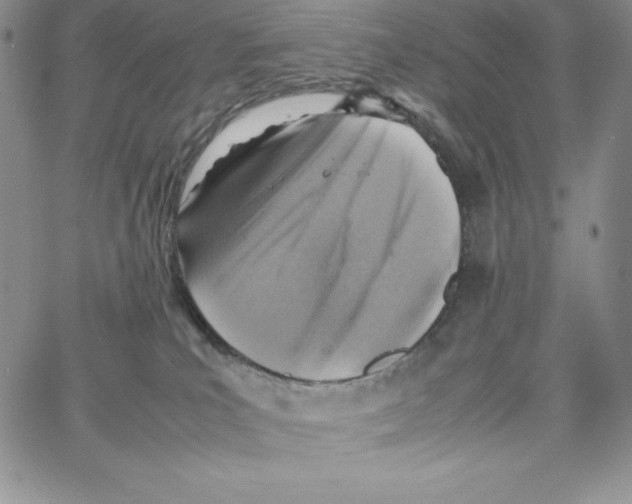 X0000066960039200604211852