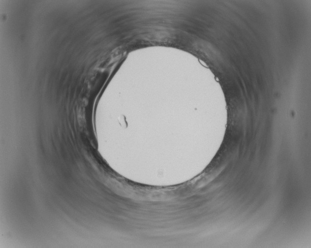 X0000066960040200604211852