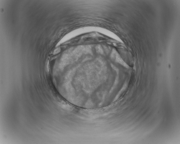 X0000066960041200604211852