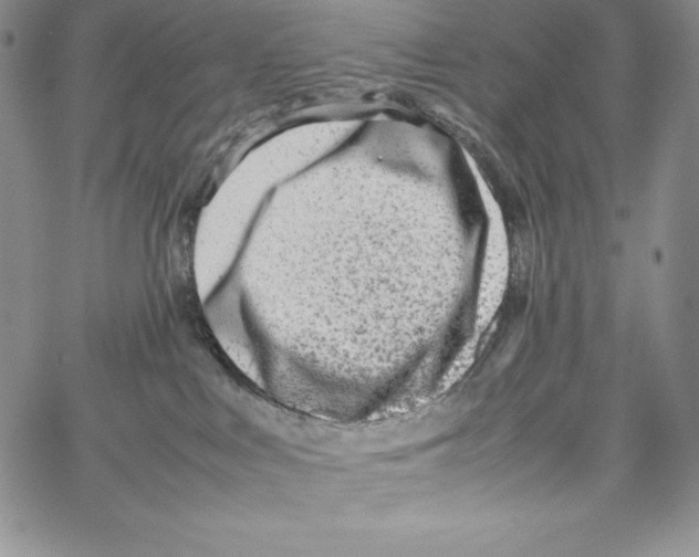 X0000066960043200604211852