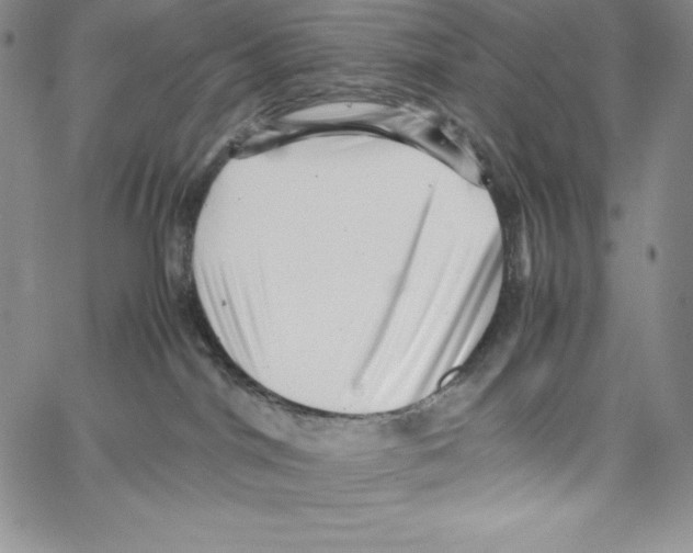 X0000066960044200604211852