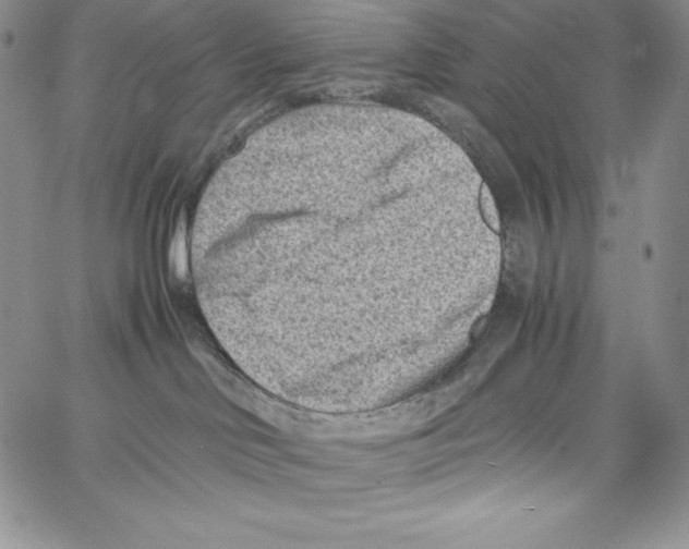 X0000066960046200604211852