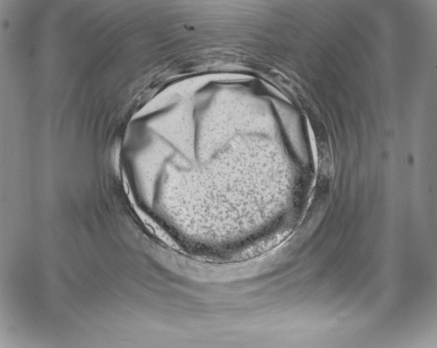 X0000066960047200604211852