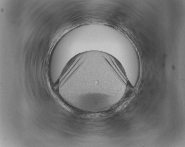 X0000066960049200604211851