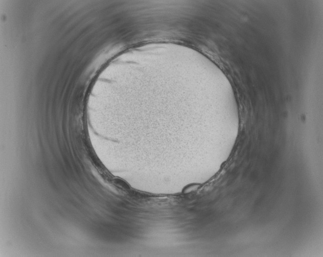 X0000066960050200604211851