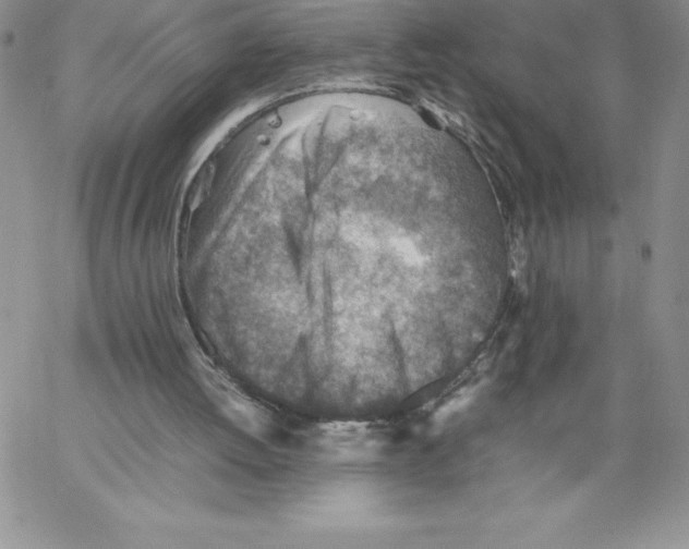 X0000066960052200604211851