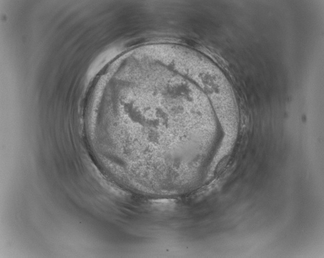 X0000066960053200604211851