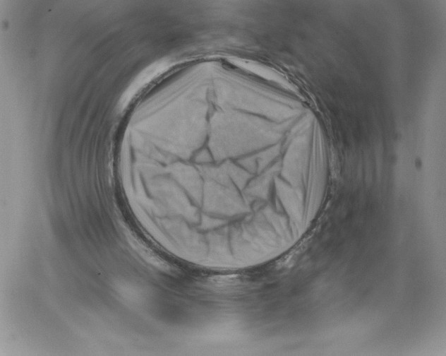 X0000066960054200604211851