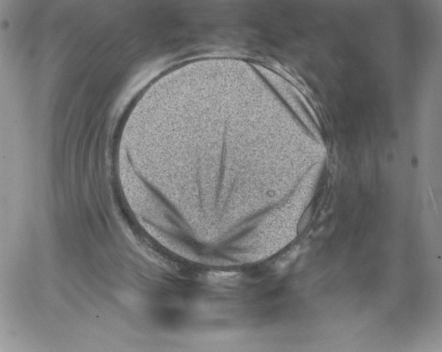 X0000066960055200604211851