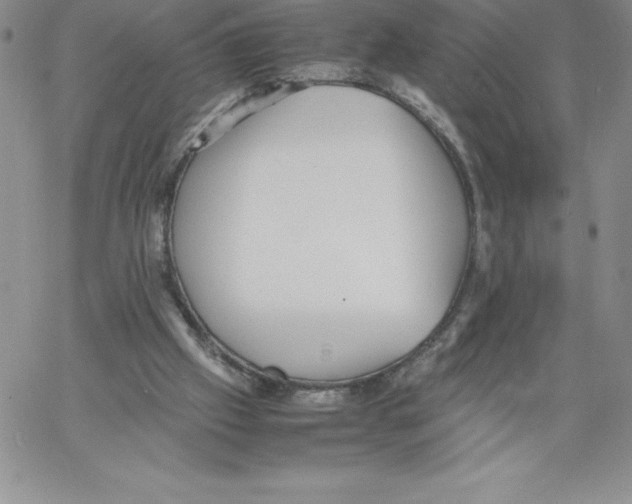 X0000066960057200604211851