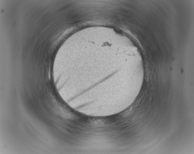 X0000066960062200604211852