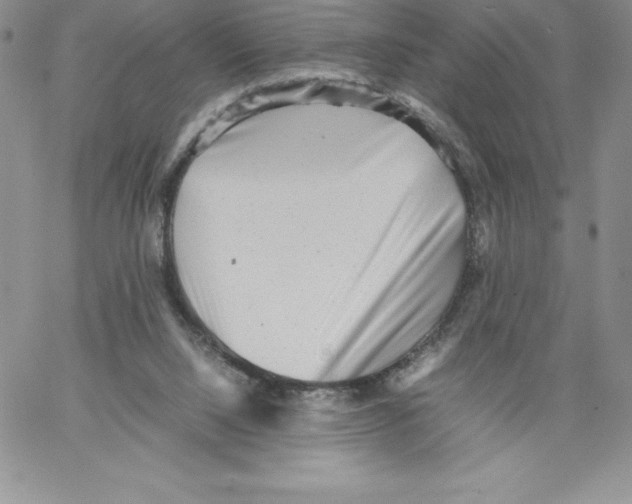 X0000066960064200604211852