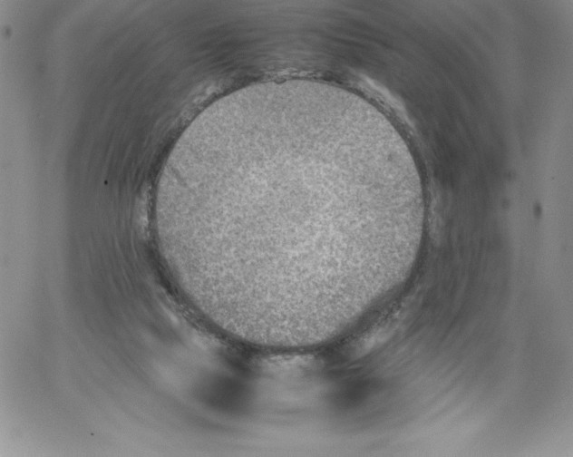 X0000066960065200604211852