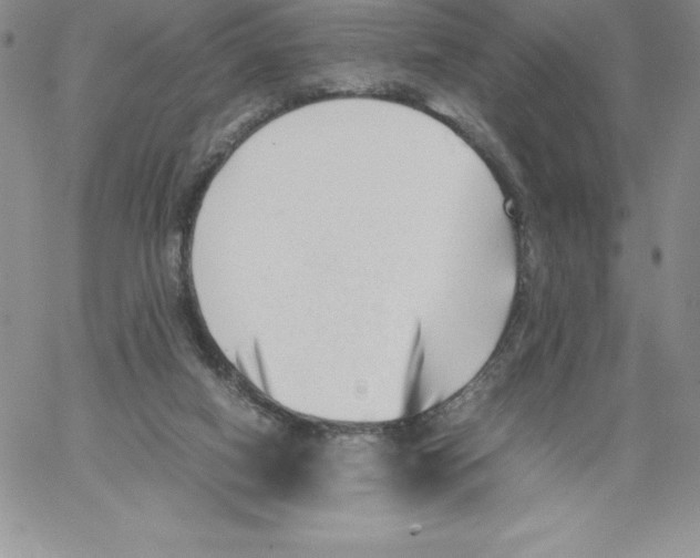 X0000066960066200604211852