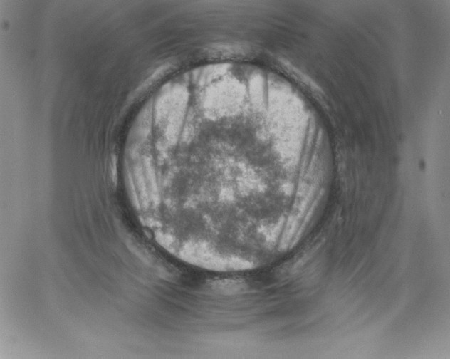 X0000066960067200604211852