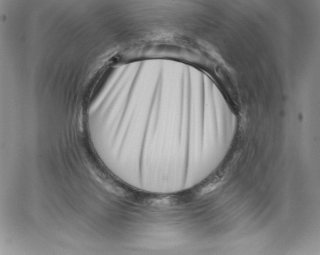 X0000066960068200604211852