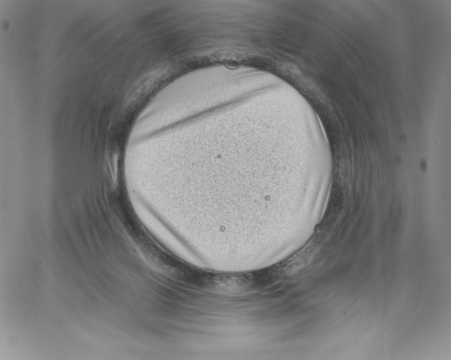 X0000066960070200604211852