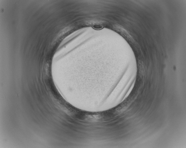 X0000066960071200604211852