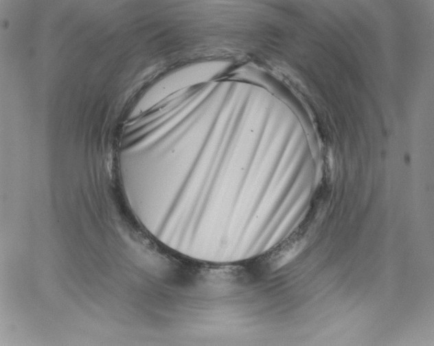 X0000066960072200604211852