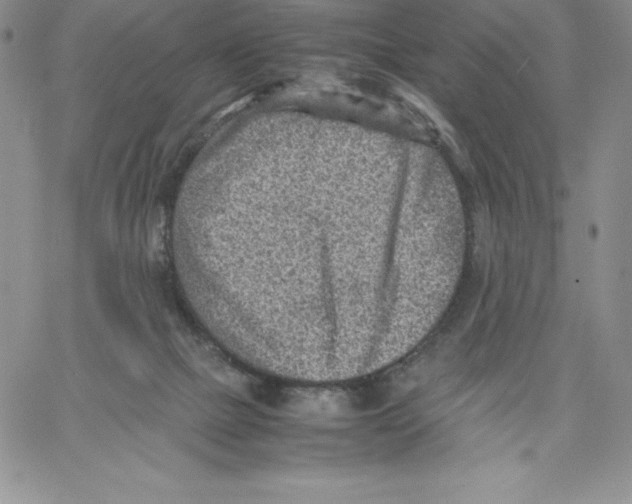 X0000066960073200604211852