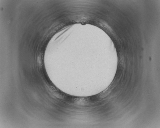 X0000066960074200604211852