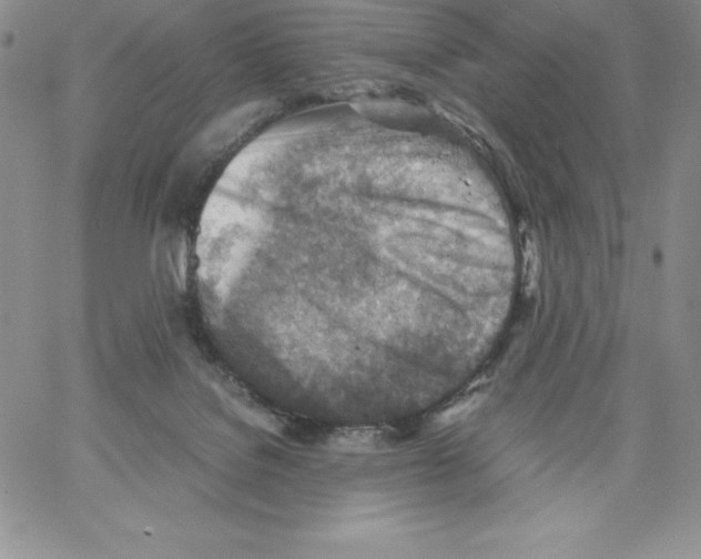 X0000066960076200604211852