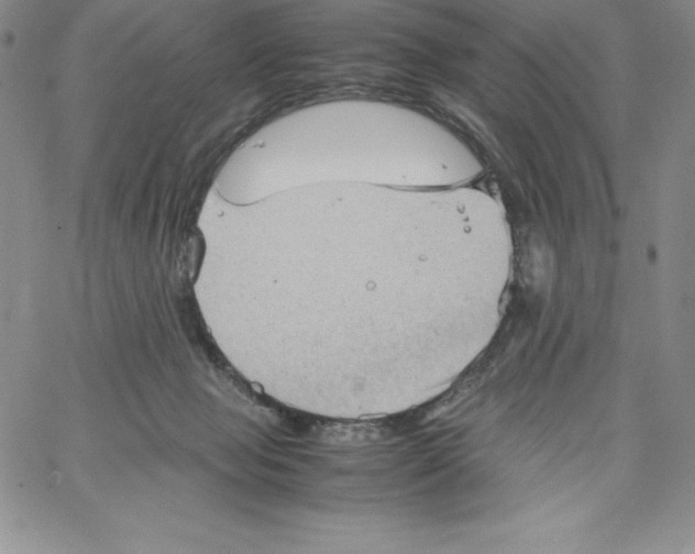 X0000066960077200604211852