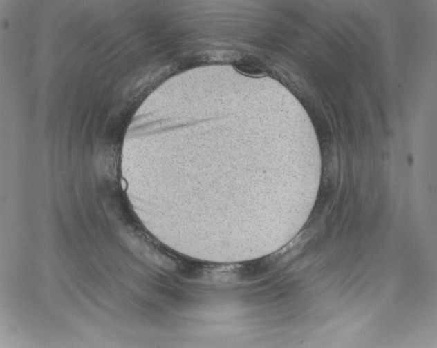 X0000066960078200604211852