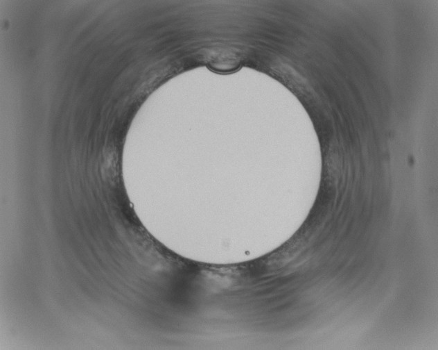 X0000066960079200604211852