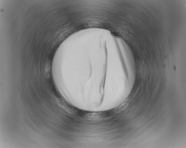 X0000066960082200604211852