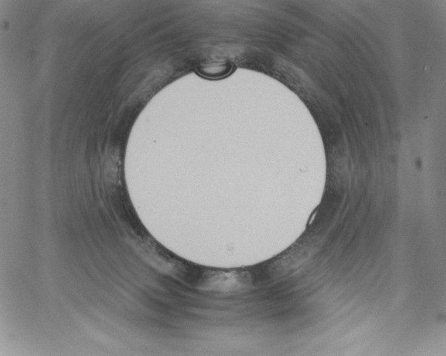 X0000066960083200604211852