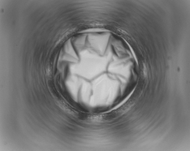 X0000066960084200604211852