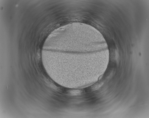 X0000066960085200604211852