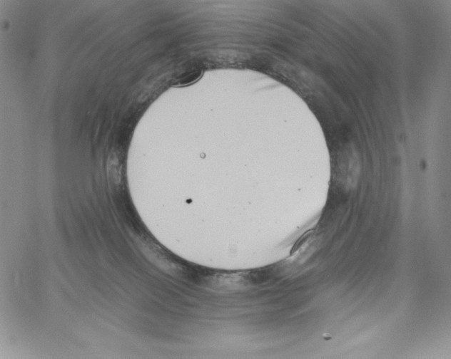 X0000066960086200604211852